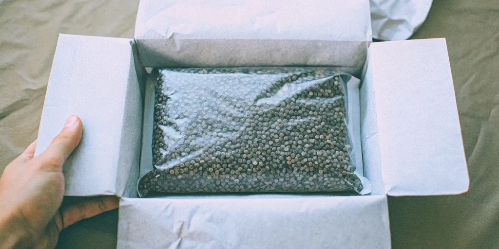 Secure and discreet packaging of cannabis clones prepared for legal shipping, highlighting trusted methods for the Best cannabis clones online.