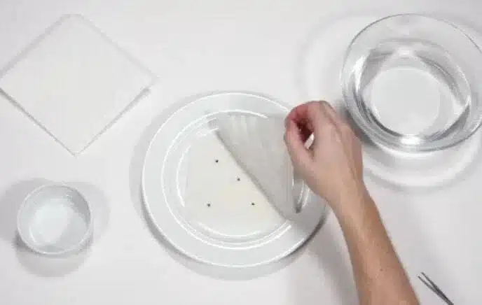 Step 8