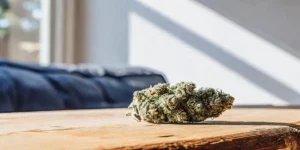 close-up of a dense Blue Dream cannabis nug resting on a wooden table