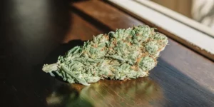 A close-up of a frosty cannabis bud resting on a wooden surface, glistening in natural light.