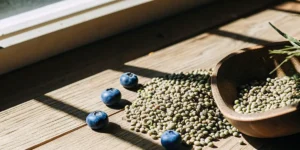 A close-up view of blueberry cannabis seeds scattered on a wooden table with fresh blueberries.